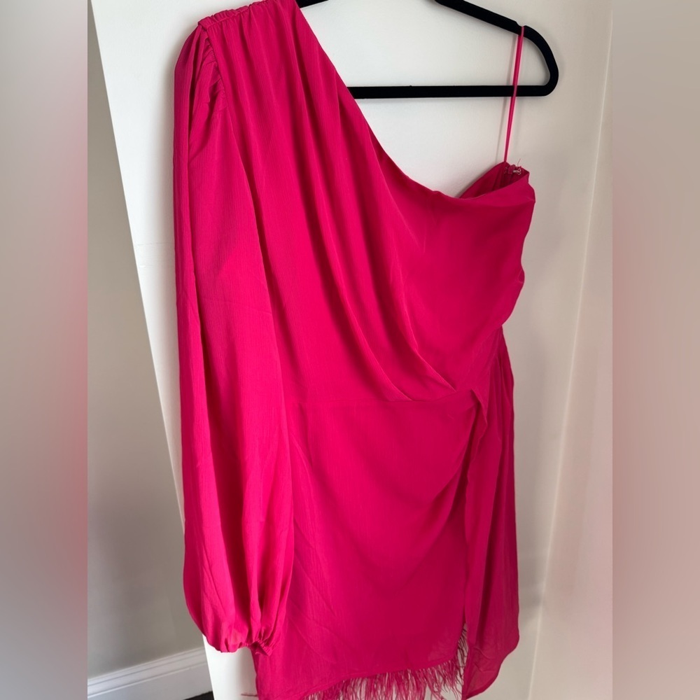 Vici Las Vegas One Shoulder Fringe Trim Pink Mini Dress XL - Picture 7 of 12
